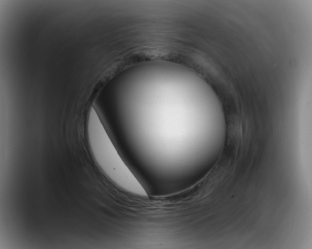 X0000089370700200706150843