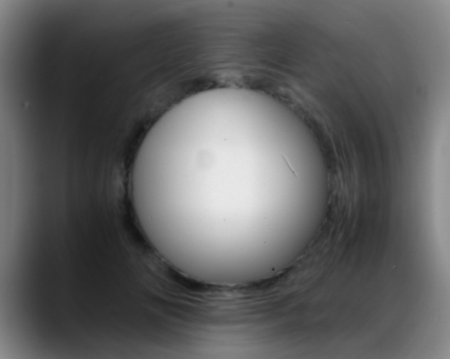 X0000089370702200706150843