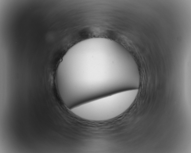 X0000089370703200706150843