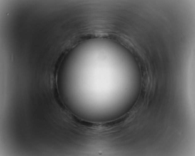 X0000089370704200706150843