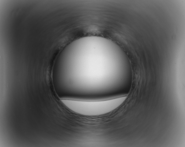 X0000089370708200706150843