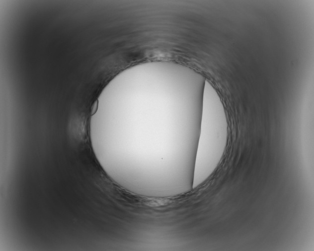 X0000089370709200706150843