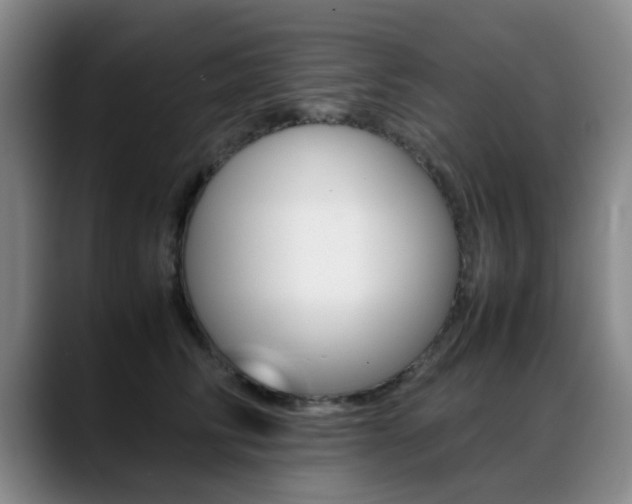 X0000089370710200706150843