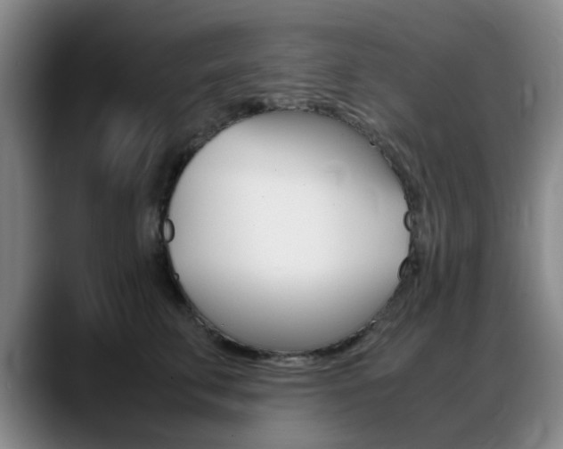 X0000089370711200706150843
