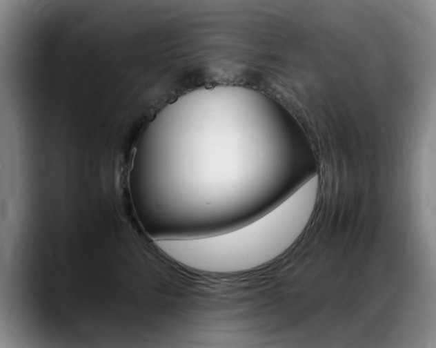 X0000089370712200706150843