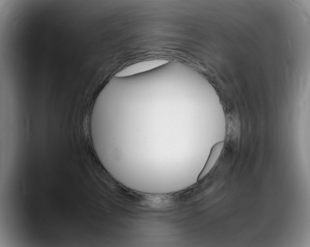 X0000089370713200706150843