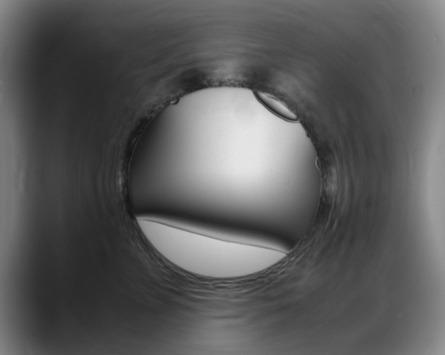 X0000089370715200706150843