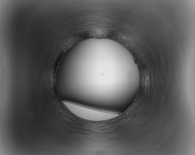 X0000089370716200706150843