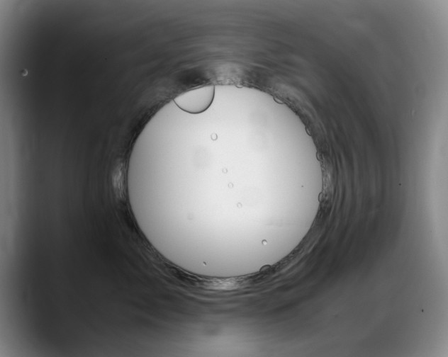 X0000089370717200706150843