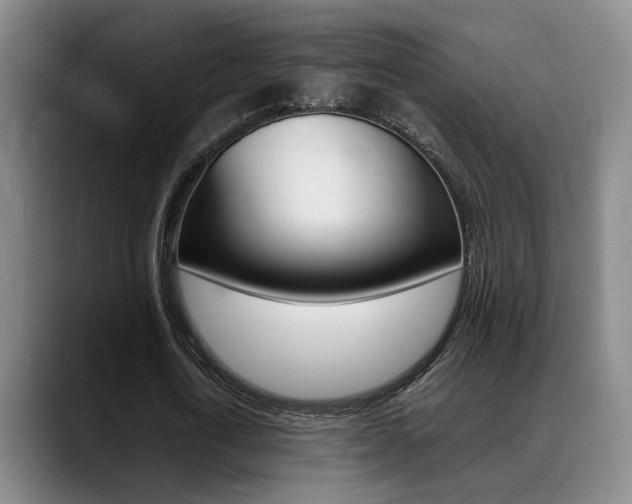 X0000089370722200706150842