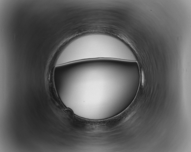 X0000089370723200706150842