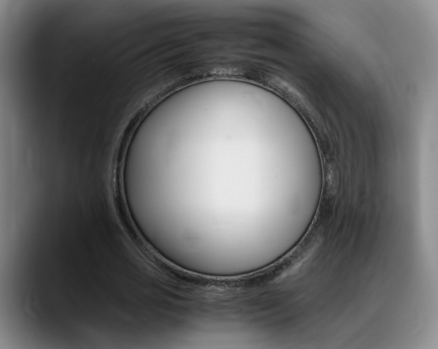 X0000089370725200706150842
