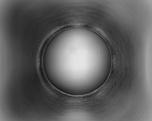 X0000089370726200706150842