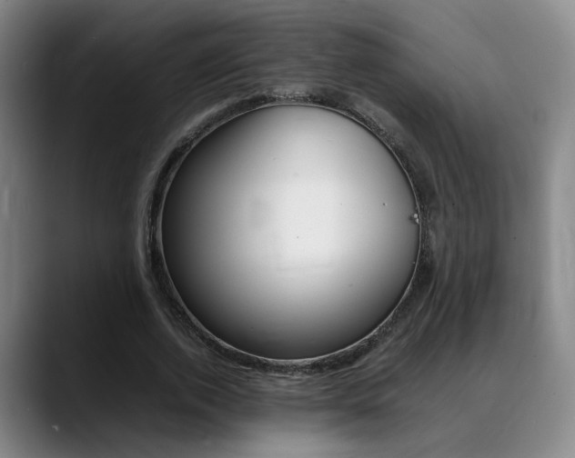 X0000089370728200706150842