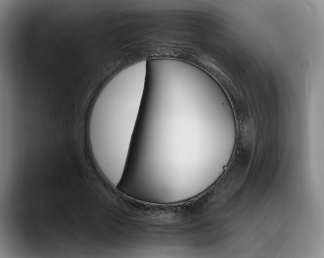 X0000089370729200706150842