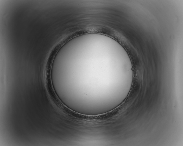X0000089370730200706150843