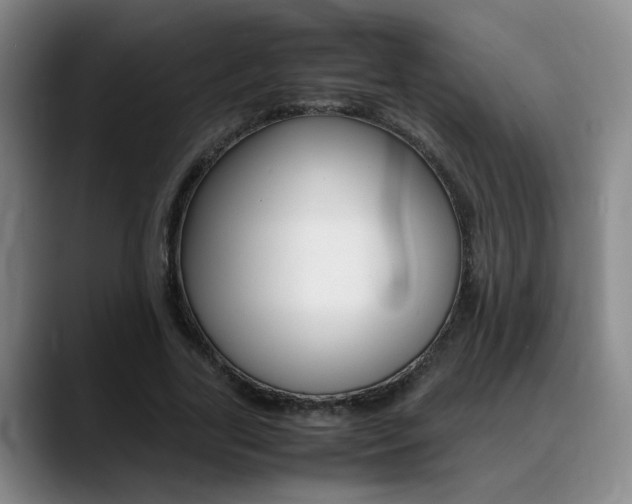 X0000089370731200706150843