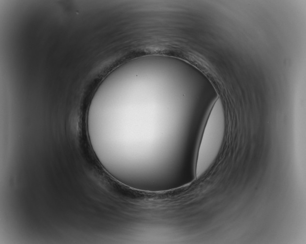 X0000089370732200706150843