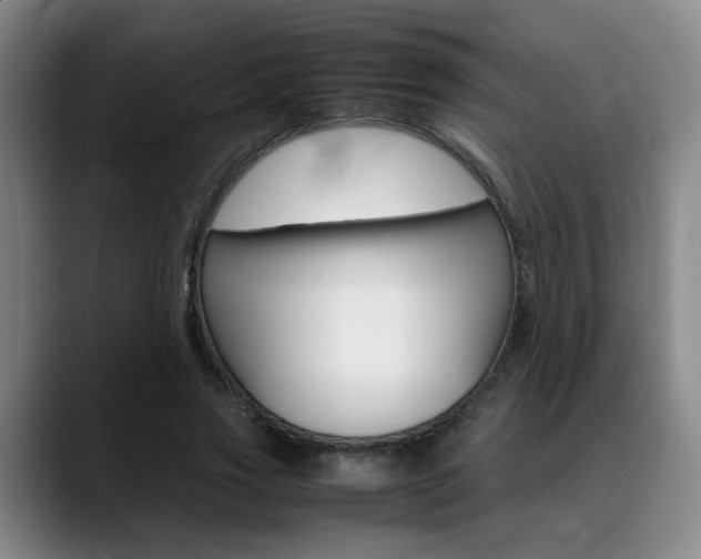 X0000089370733200706150843