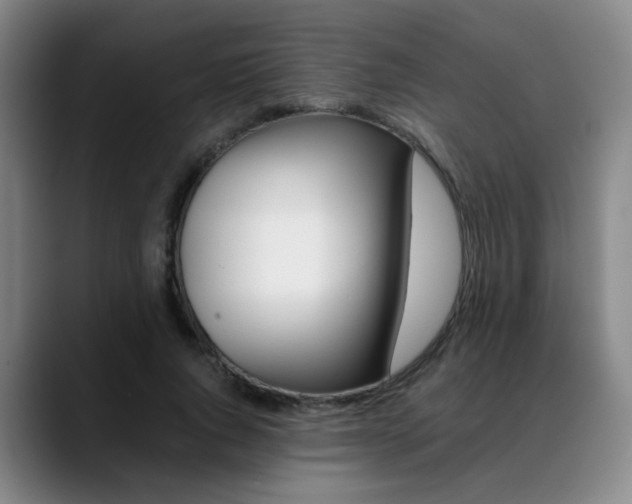 X0000089370736200706150843