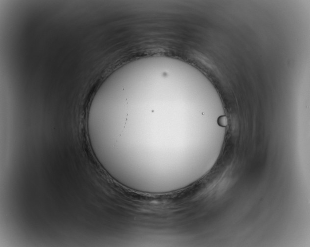 X0000089370737200706150843