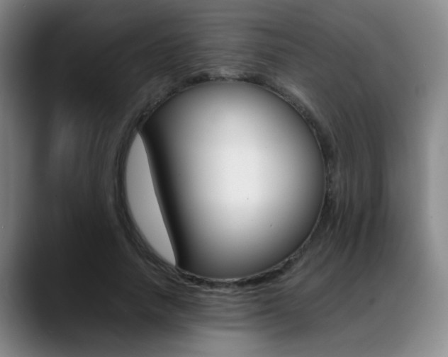 X0000089370738200706150843