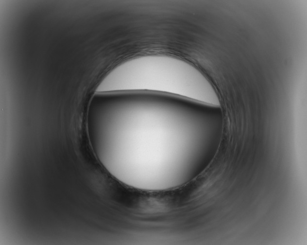 X0000089370739200706150843