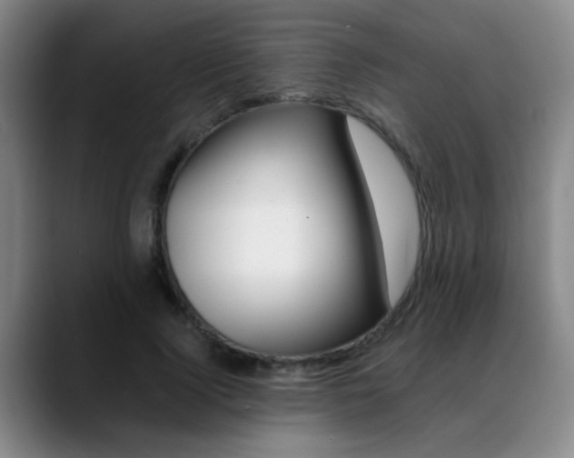 X0000089370740200706150843