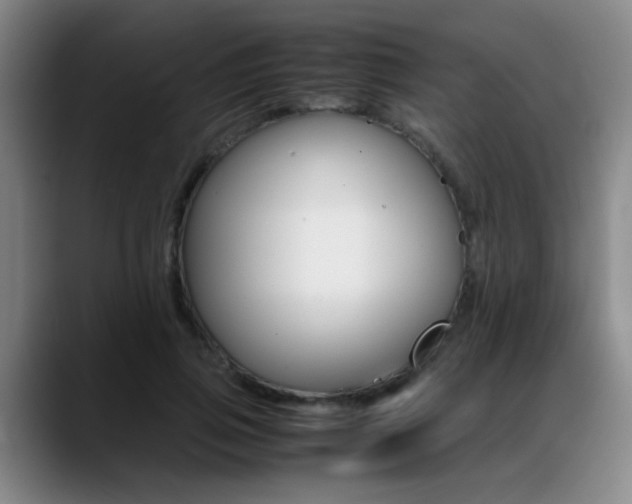 X0000089370741200706150843