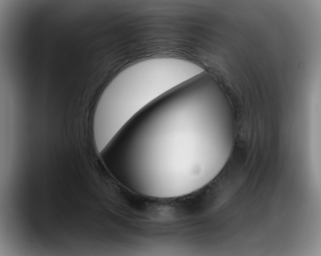 X0000089370743200706150843