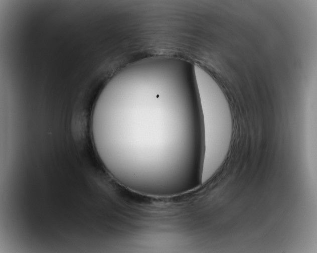 X0000089370744200706150843