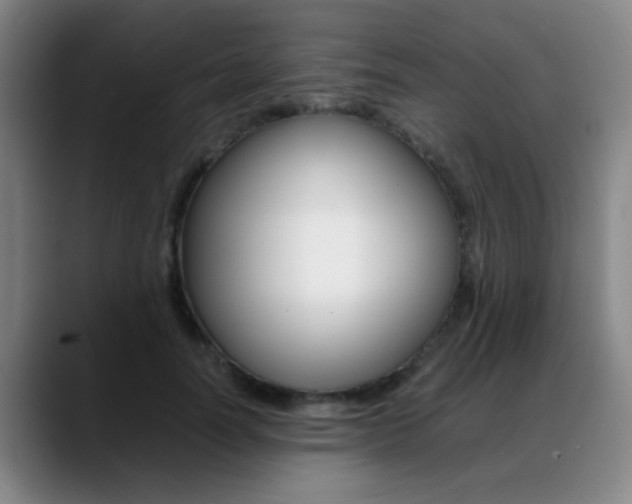 X0000089370746200706150843