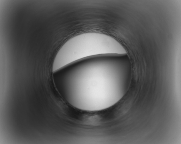 X0000089370747200706150843