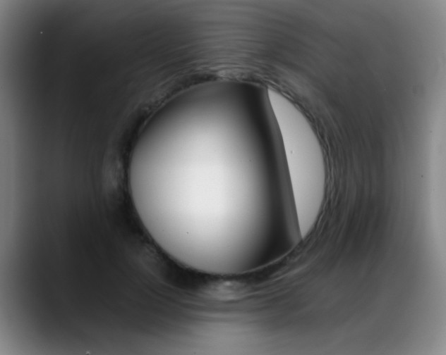 X0000089370748200706150843