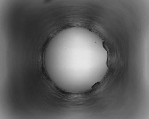 X0000089370749200706150843