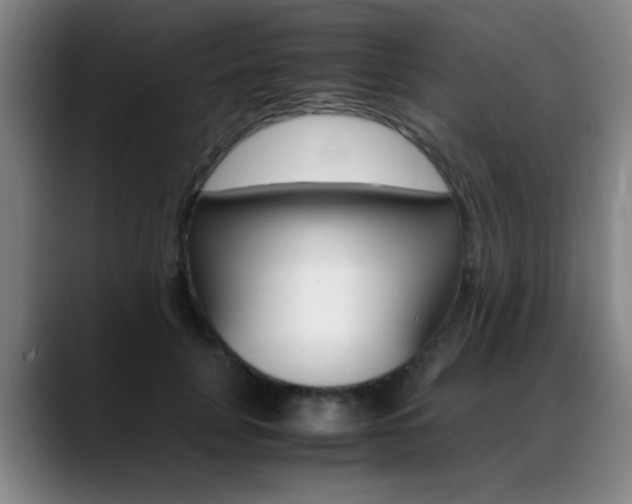 X0000089370751200706150843