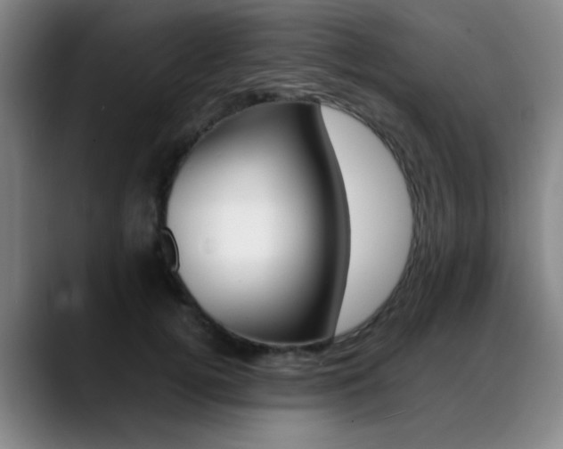 X0000089370752200706150843