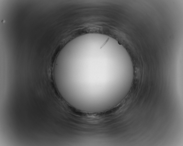 X0000089370753200706150843