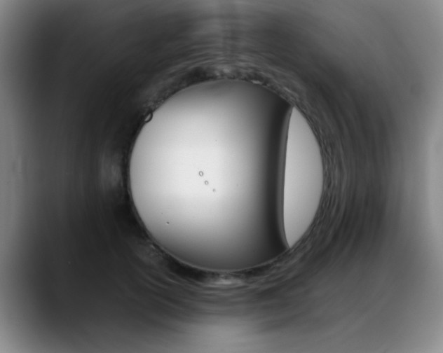 X0000089370754200706150843