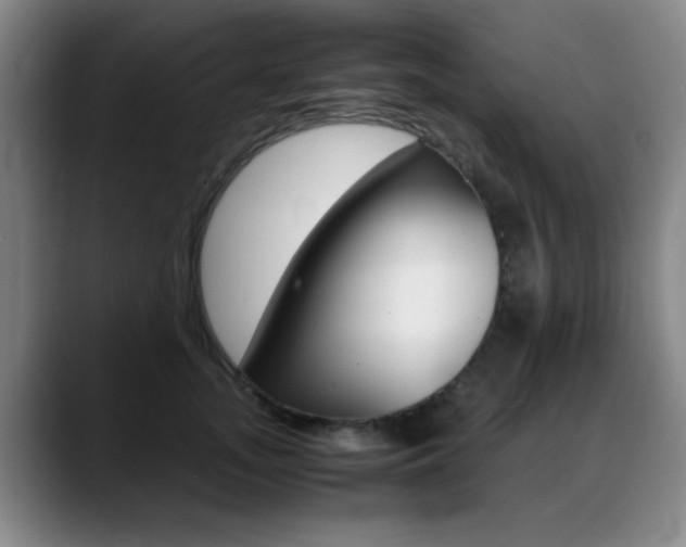 X0000089370755200706150843