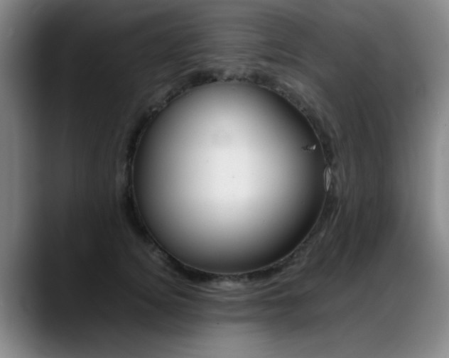 X0000089370756200706150843