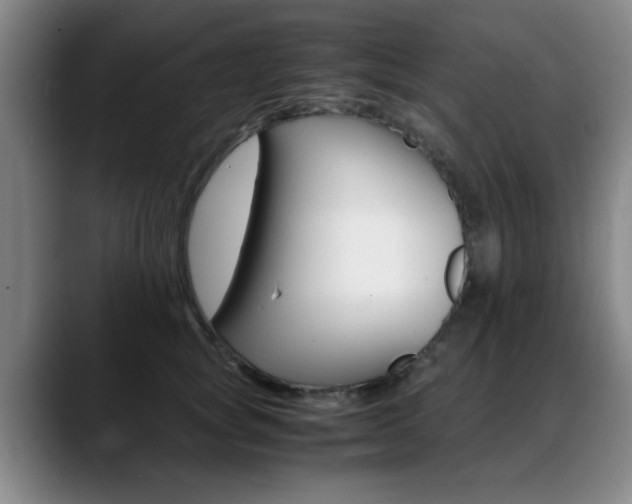 X0000089370757200706150843