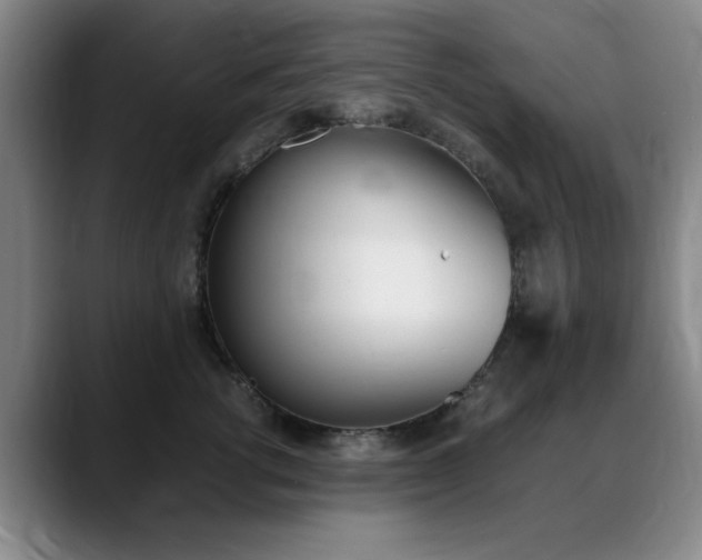 X0000089370762200706150843