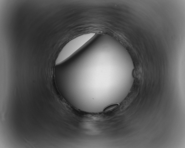 X0000089370763200706150843