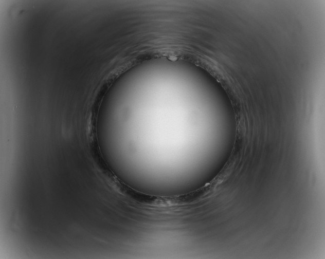 X0000089370764200706150843