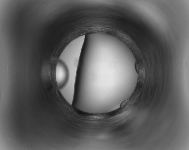 X0000089370765200706150843