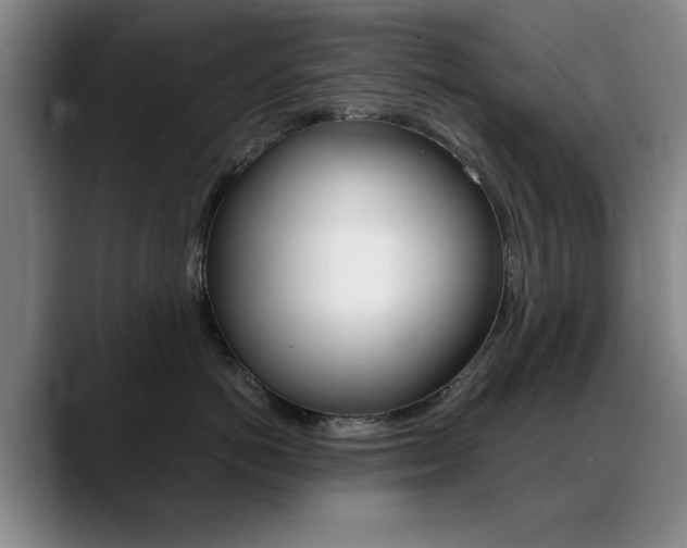 X0000089370766200706150843