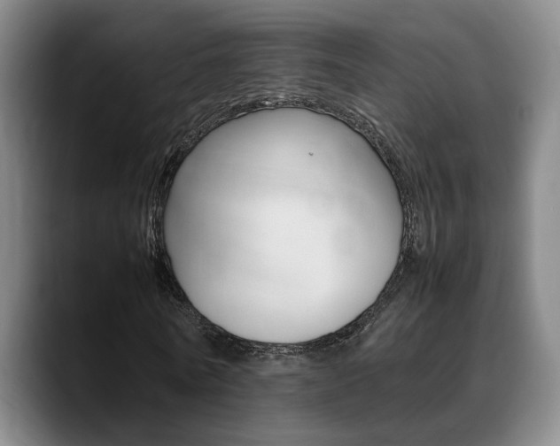 X0000089370770200706150842