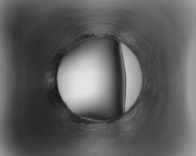 X0000089370771200706150842