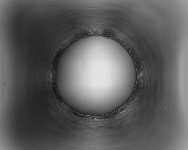 X0000089370772200706150842